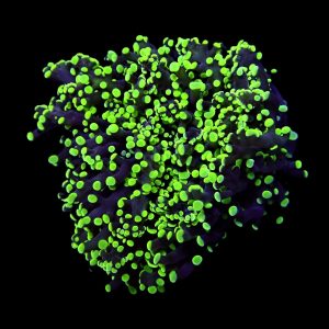 9dcaf2050f15997882204e7cda2f23be