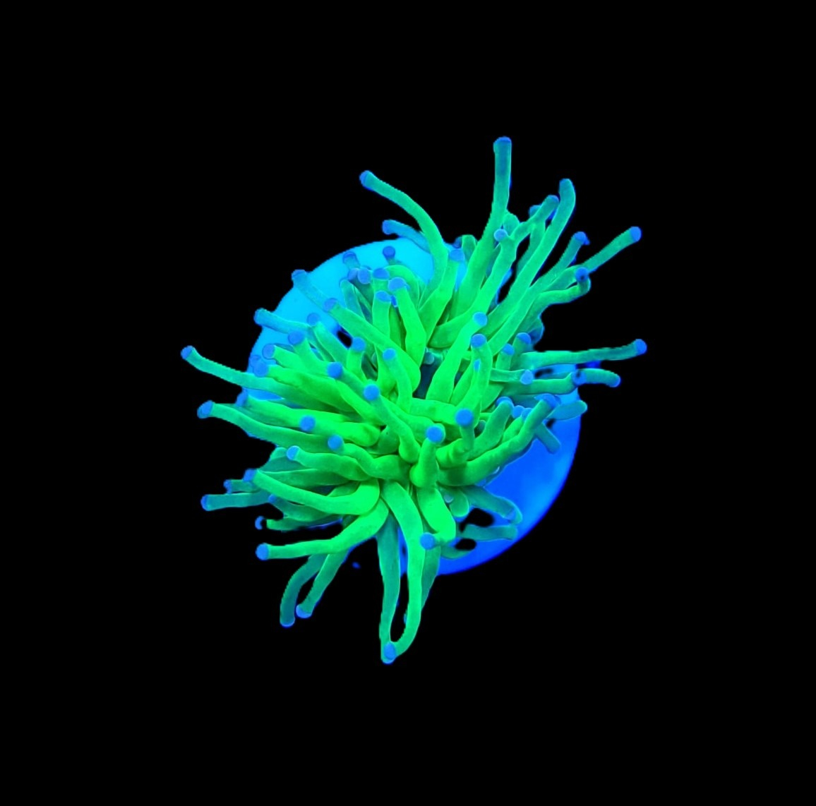 472e4b4a8ea5137eba7eb2923c020a57