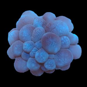 41ebe8d6688c7ce9884118c6ac5335df