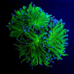 6fa5a3ecb7c98d2350a04f53aaccfb73