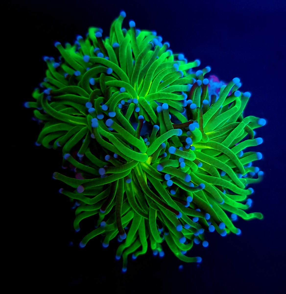 6fa5a3ecb7c98d2350a04f53aaccfb73