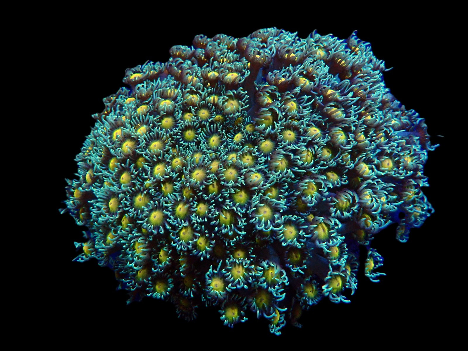 0dd15516298ccc62a73a6d9e61c5602d